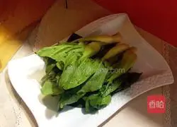 Illustration of spicy oyster and rapeseed moss 1