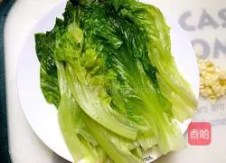 Oyster Sauce Lettuce Recipe Illustration 4
