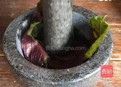 Illustration of how to make steamed eggplant with perilla and garlic paste 5