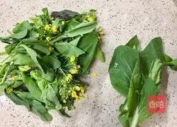 ~Illustration of how to make field rapeseed with oyster sauce and garlic paste 2