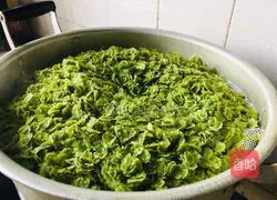 Illustration of how to make steamed elm money 7