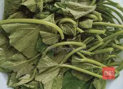 Illustration of home-style fried pumpkin leaves 2