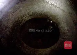 Illustration of how to make sweet and sour bitter melon 8