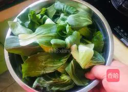 Garlic Shanghai Green Recipe Illustration 1