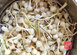 Illustration of how to make pickles 1