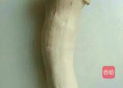 Illustration of how to make fried carrots with king oyster mushrooms 1