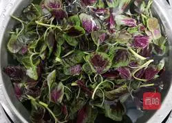 Garlic-flavored shrimp skin and red amaranth recipe Illustration 1