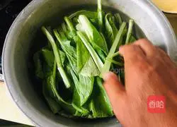 Illustration of how to mix Chinese cabbage with vermicelli 3