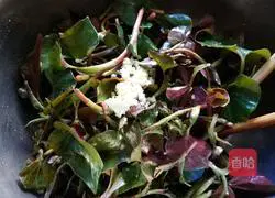 Illustration of how to make cold Houttuynia Cordata (leaves) 4