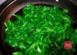 Illustration of how to make cold Tianqi vegetables 16