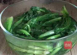 Illustration of how to make cold bitter sesame vegetables 10