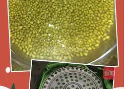 Illustration of how to make mung bean sprouts 2