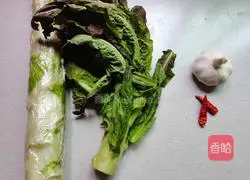 Garlic lettuce Practice illustration 1