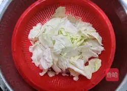 Spring Cabbage Recipe Illustration 3