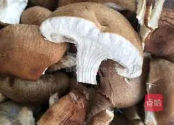 Illustration of how to make stewed potatoes with precious mushrooms 5