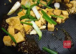 Illustration of braised frozen tofu 4