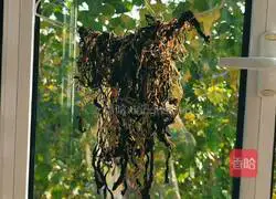 Illustration of how to make homemade prunes 12