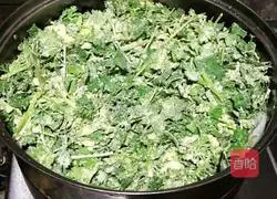 Illustration of steamed coriander 9