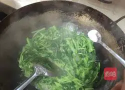 Illustration of how to cook lettuce and leeks 6