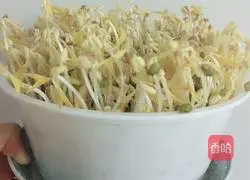 Bean sprouts~shake sprouts~~~ illustration 7