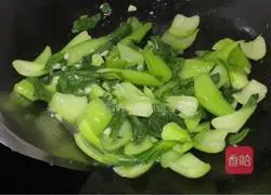 Garlic Shanghai Green Practice illustration 9