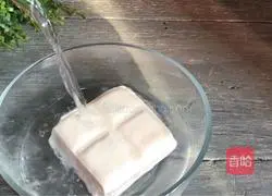 Illustration of home-style grilled tofu 1