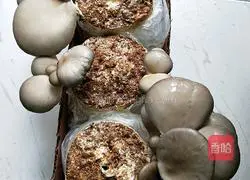 Black Illustration of how to stir-fry dried oyster mushrooms 1