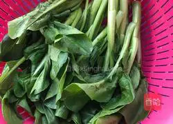 Illustration of how to make garlic cabbage 1