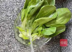 Garlic Shanghai Green Recipe Illustration 1