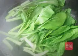 Garlic Illustration of how to make cabbage 1