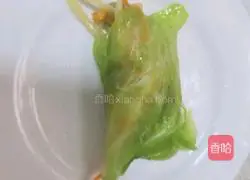 Vegetable rolls Illustration of how to do it 8