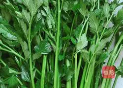 Minced garlic and wild celery Practice illustration 2