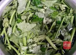 Illustration of how to make stir-fried pumpkin tips 2