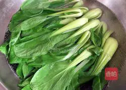 Illustration of how to make oyster sauce and rapeseed 2