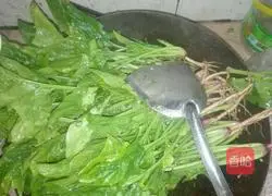 Garlic spinach recipe 4