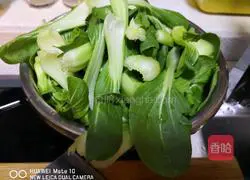 Illustration of cooking oil-consuming rapeseed 1