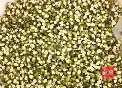 Illustration of how to make self-sprouting bean sprouts 2