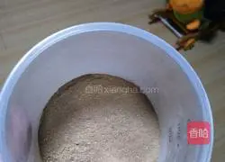 Illustration of how to make mushroom powder baby version 4