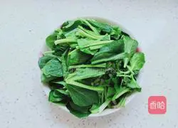 Illustration of how to make fried Chinese cabbage with mushrooms 3