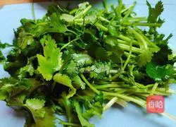 Illustration of how to make shredded coriander and radish 5