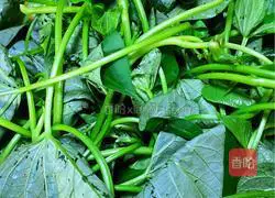 Illustration of how to stir-fry sweet potato sprouts in lard 1