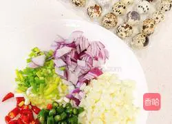 Cold quail Illustration of how to make eggs 1