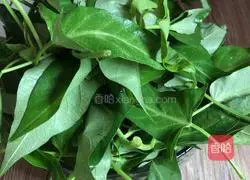 Illustration of how to make spicy water spinach 1