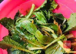 Illustration of how to stir bok choy with sauce 8