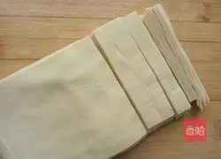 Illustration of how to make spicy cumin dried tofu 2