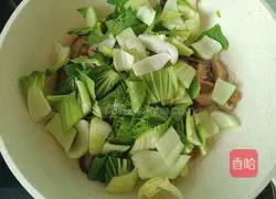 Illustration of how to make olive oil, mushrooms and rapeseed 8