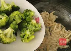 The deep affection of green leaves to roots Illustration of practice 12