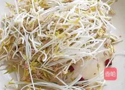Illustration of how to make spicy and sour mung bean sprouts 2