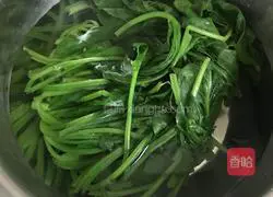 Illustration of how to make spinach, vermicelli and peanuts mixed with mustard 10