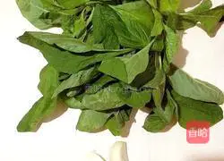 Illustration of how to make garlic amaranth 1